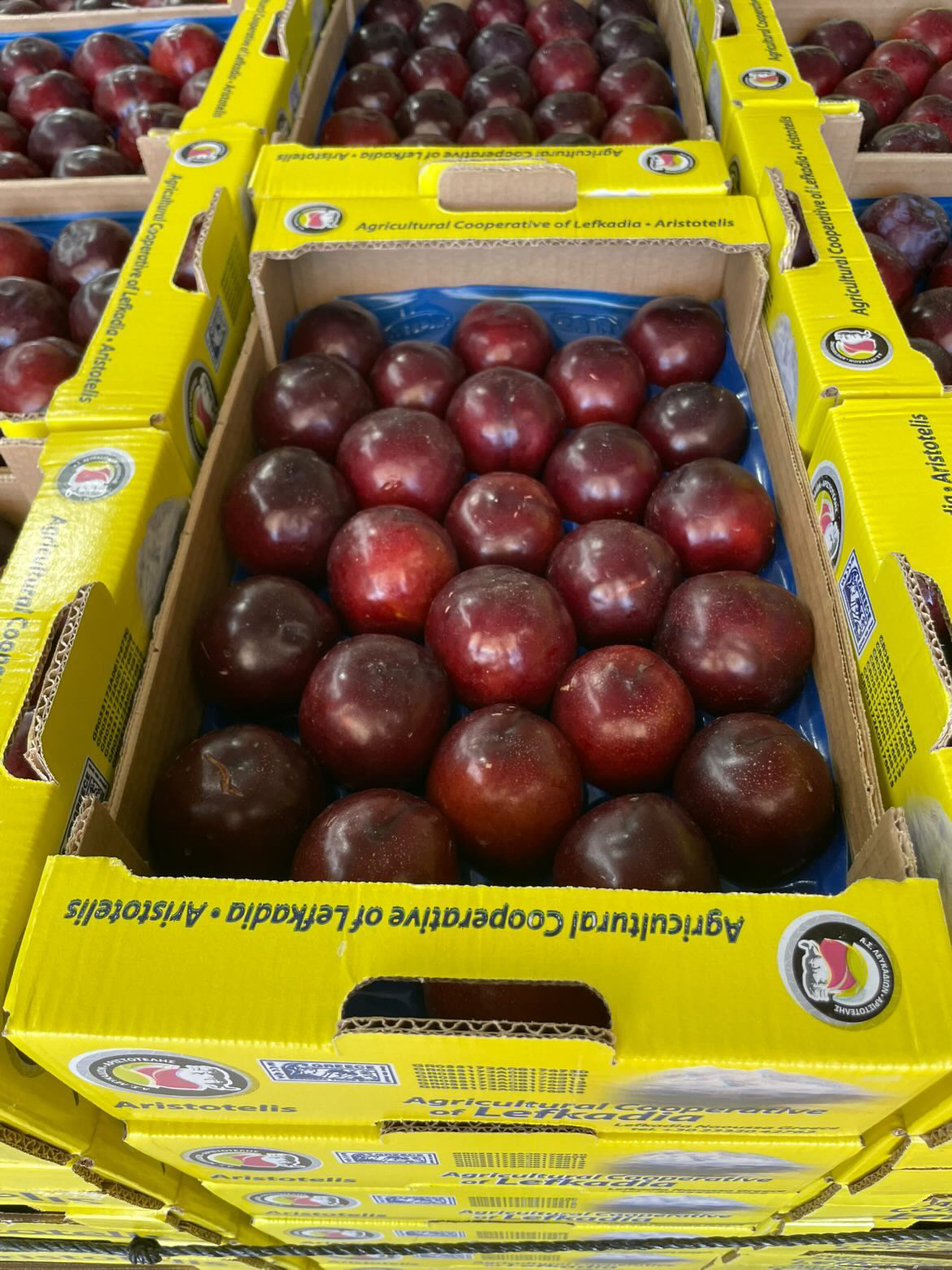 Βανίλιες Δαμάσκηνα Λευκαδίων