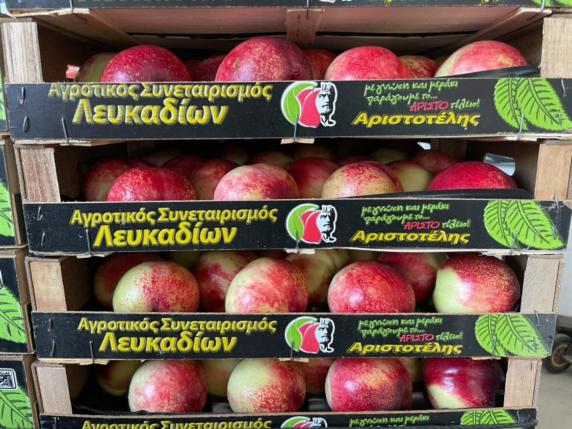 Νεκταρίνια Λευκαδίων