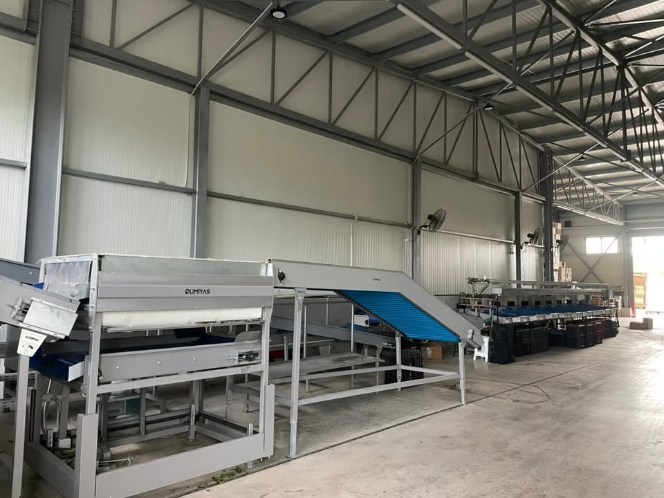 Γραμμή διαλογής OLIMPIAS στις εγκαταστάσεις